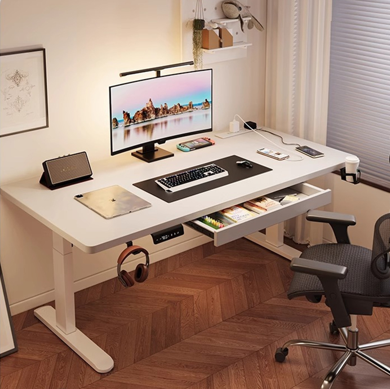 Modern Iron Dual Motor Electri - Setup Desk Monitor review and price